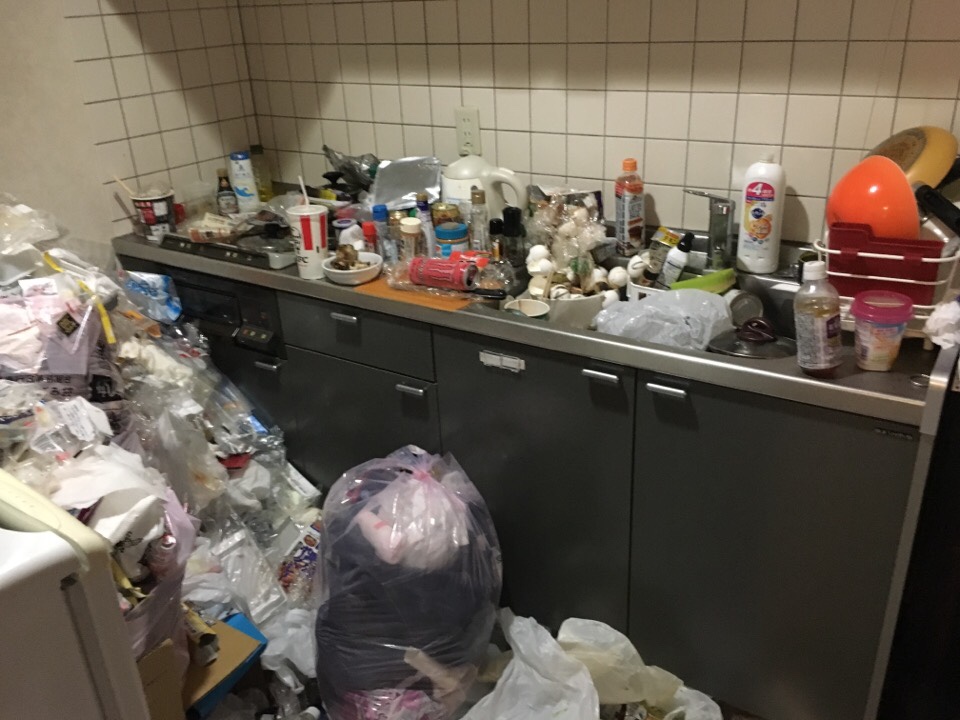ゴミが沢山のキッチン