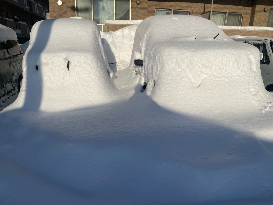 雪に埋もれた自家用車